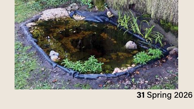 A finished small backyard wildlife pond with plants and rocks
