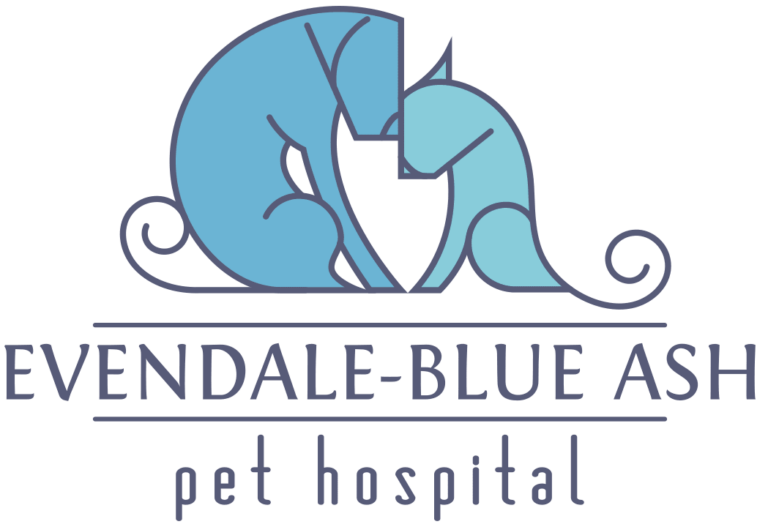 Evendale Blue Ash Pet Hospital